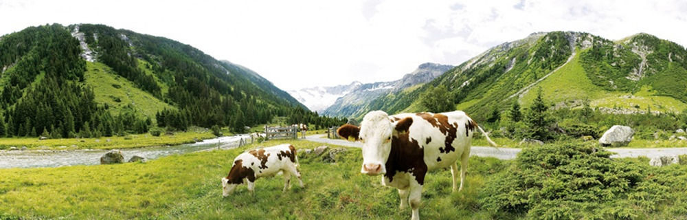 Alpenhof Hotel Garni Supreme Zell am Ziller Zewnętrze zdjęcie